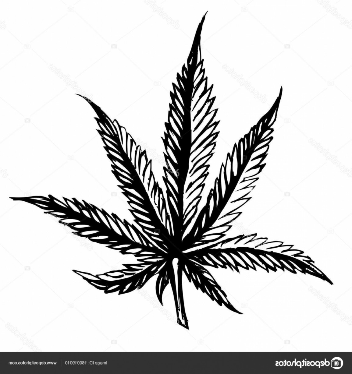 1155x1228 Stock Illustration Cannabis Leaves Sketch Hand Drawn Shopatcloth - Weed Leaf Sketch