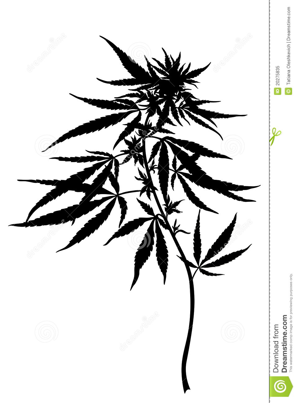 Weed Plant Sketch at PaintingValley.com | Explore collection of Weed ...