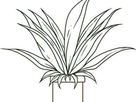 440x330 Drawn Pot Plant Cartoon - Weed Plant Sketch