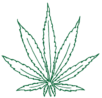 343x328 Pot Leaf Tattoo Outline Designs Posted By Unwritten Prophecy - Weed Plant Sketch