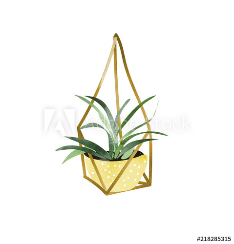 479x500 Hanging Pot Plant Vector Watercolor Illustration. Doodles Of - Weed Plant Sketch