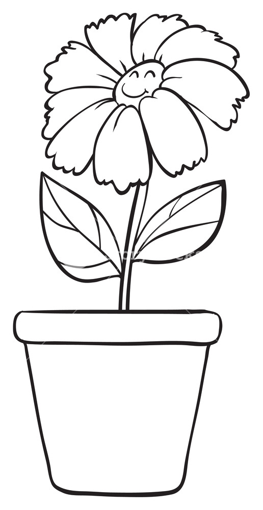516x1000 Illustration Of A Blue Flower And Pot Sketch On White Background - Weed Plant Sketch
