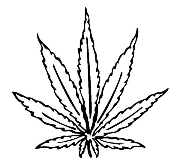 600x542 Cannabis Leaf Drawing I Free Images - Weed Plant Sketch