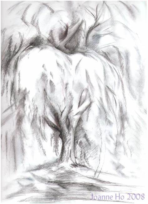 474x652 Pencil Sketches Of Willow Trees. Weeping Willow Drawing Google - Weeping Willow Sketch