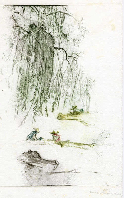 502x800 Weeping Willow, Lake Chappala (Fragment) By Max Pollak Annex - Weeping Willow Sketch