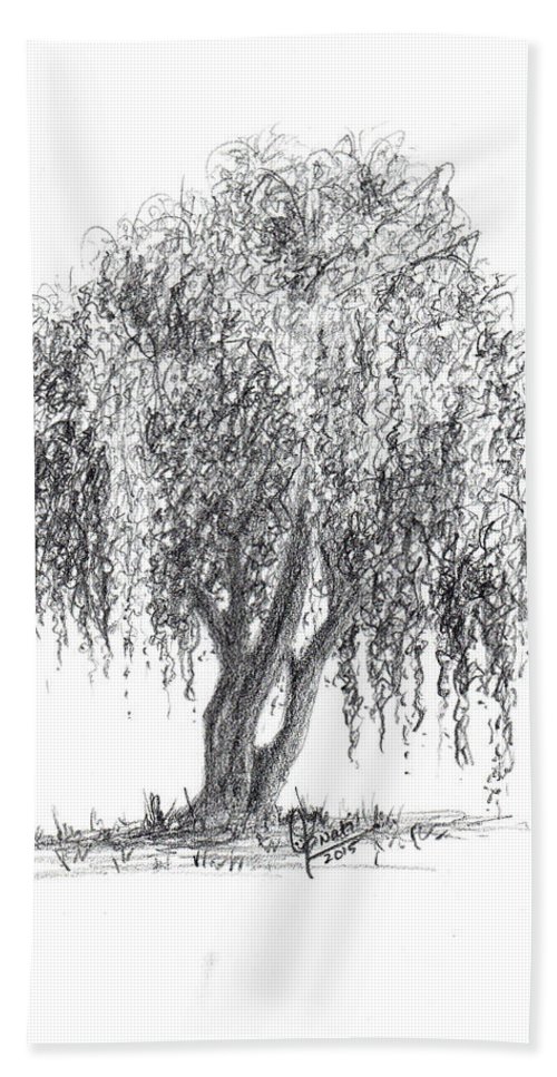 500x967 Weeping Willow Tree Beach Towel For Sale By Swati Singh - Weeping Willow Sketch