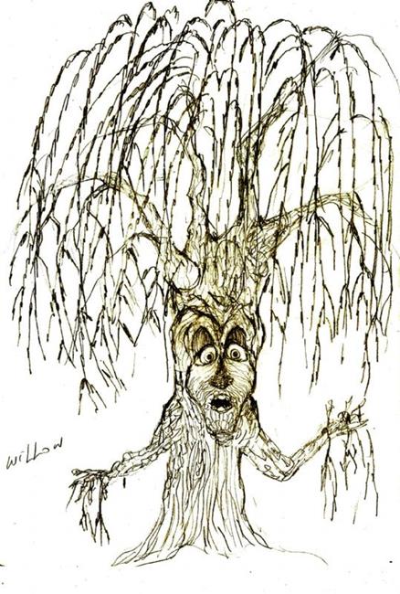 438x650 Weeping Willow Sketch - Weeping Willow Sketch