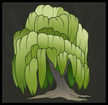 350x340 How To Draw How To Draw A Willow Tree, Weeping Willow - Weeping Willow Tree Sketch