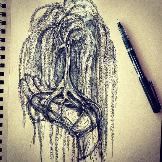 540x540 Weeping Willow Tree Perfect I Found You This Is What I Want - Weeping Willow Tree Sketch