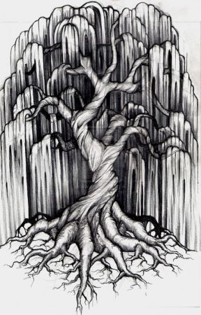 288x450 Willow Tree - Weeping Willow Tree Sketch