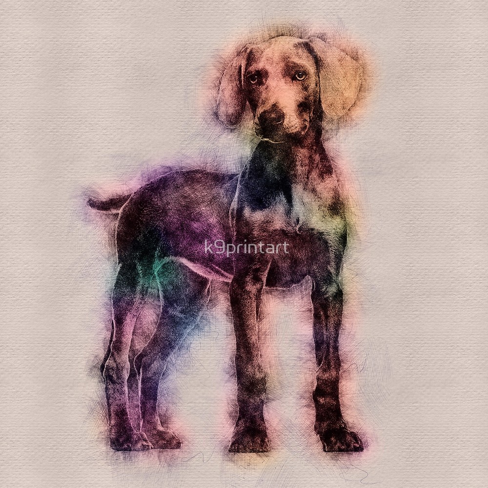 1000x1000 Weimaraner Puppy Sketch By K9printart Redbubble - Weimaraner Sketch