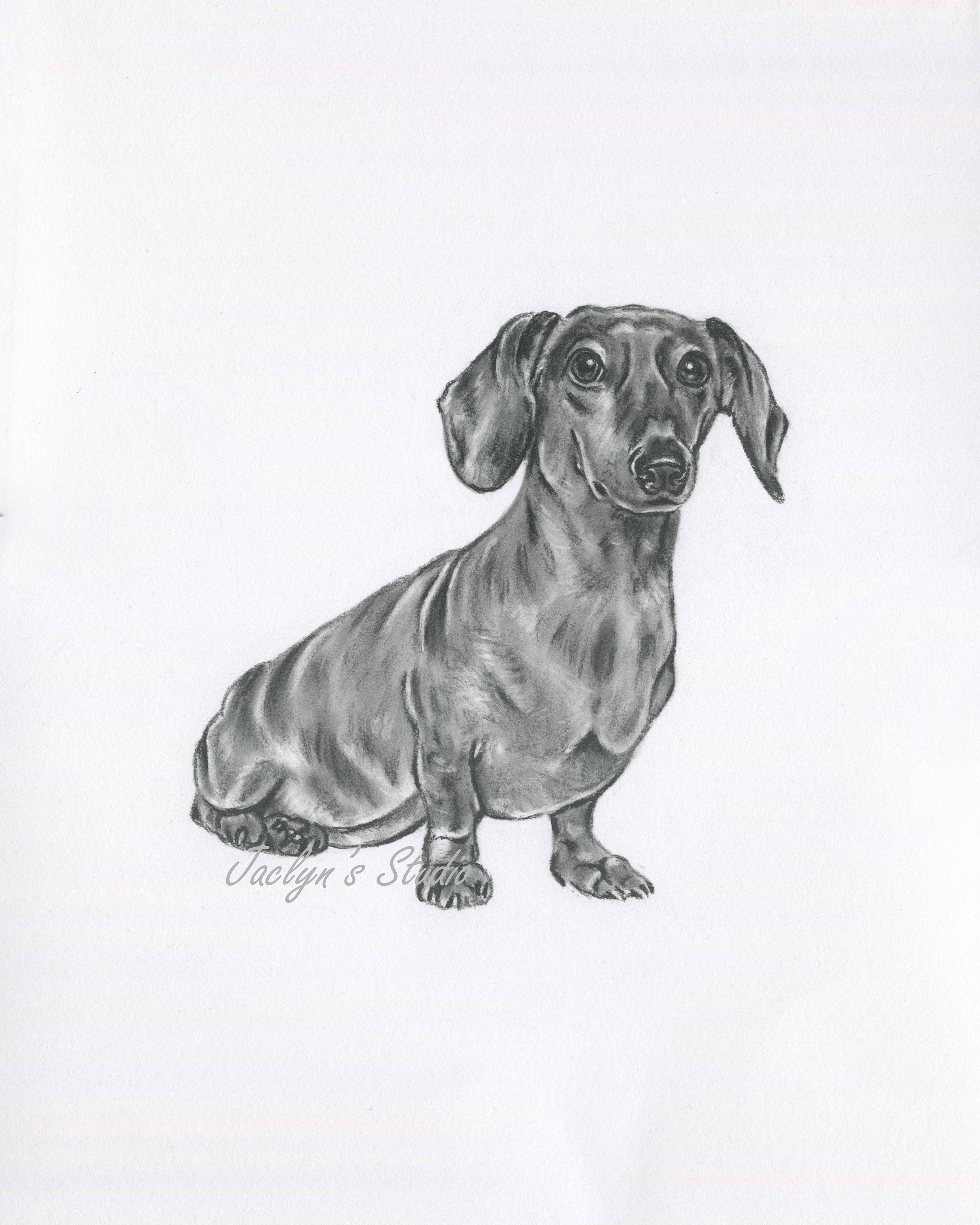 Dachshund Dog Watercolor Print Canvas Print Dog Lovers Teckel Doxie Sausage Dog Art Art Art Prints