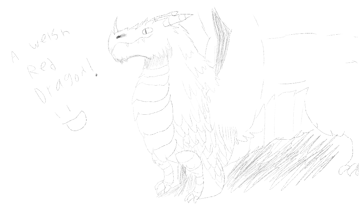 1152x704 Red Welsh Dragon Sketch By Yellowvz - Welsh Dragon Sketch