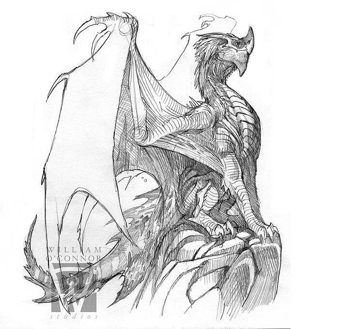 Welsh Dragon Sketch at PaintingValley.com | Explore collection of Welsh ...