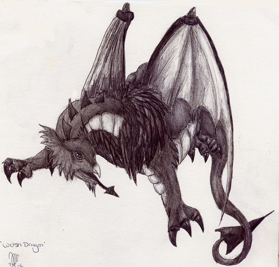 576x550 The Welsh Dragon By Davuu - Welsh Dragon Sketch