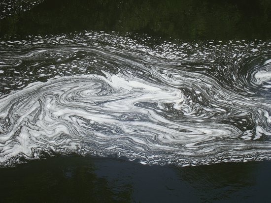 550x413 Tadpoles, Trout, Teifi Sewin And The Odd Welsh Dragon - Welsh Dragon Sketch