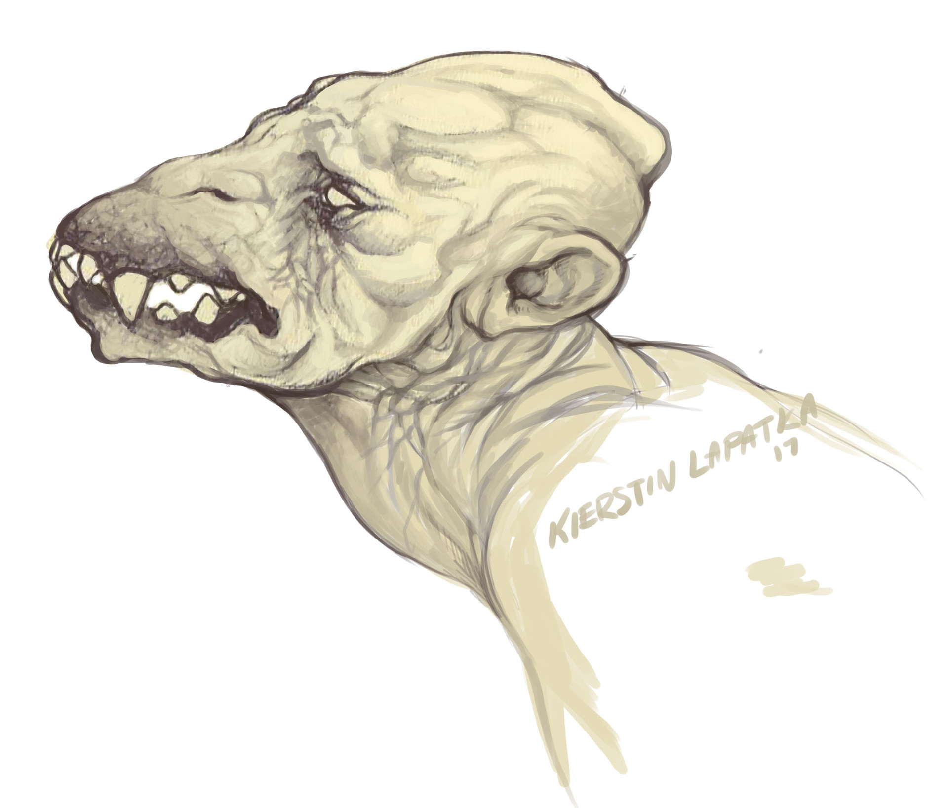 1920x1637 Kierstin Lapatka - Werewolf Sketch