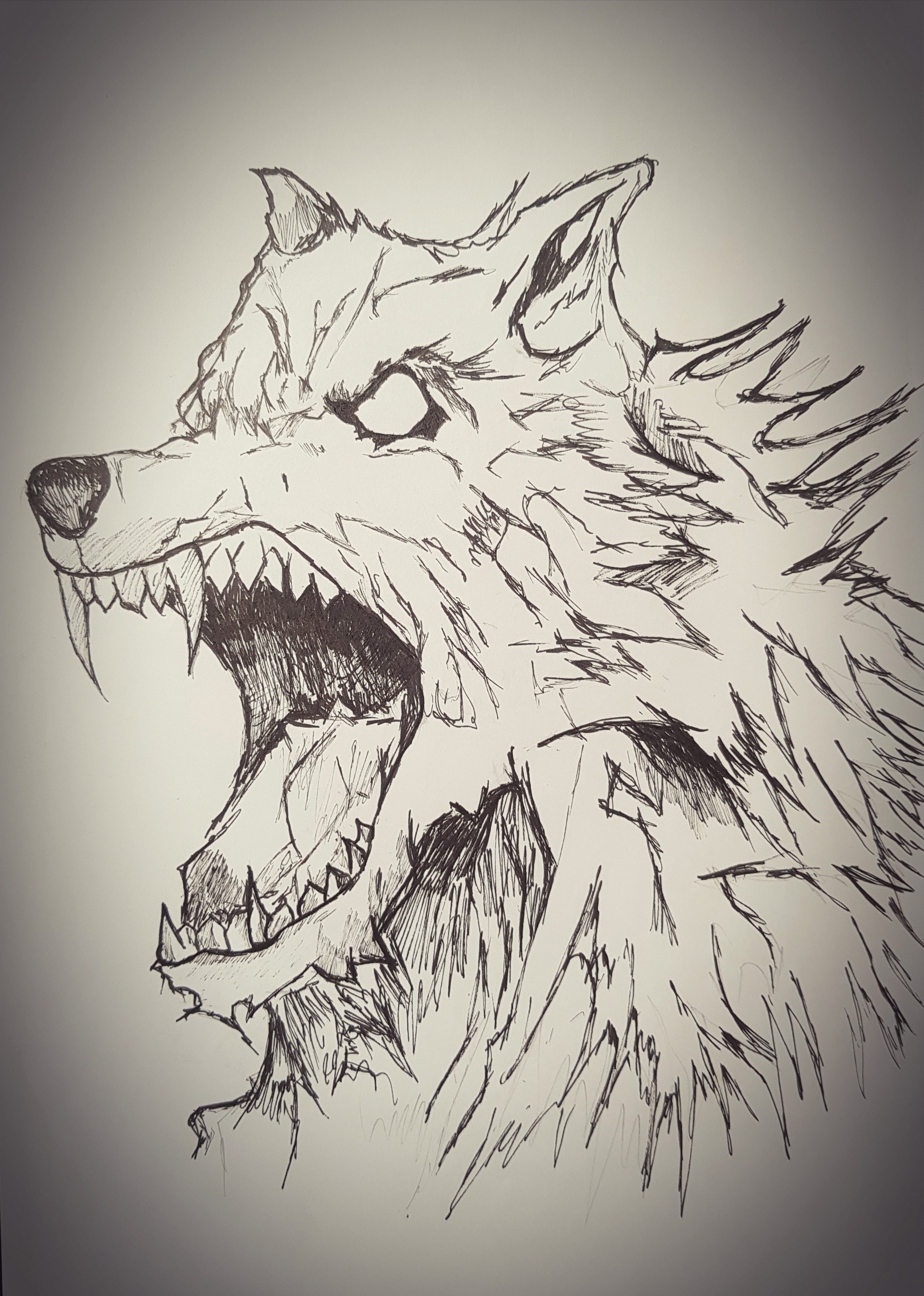 1920x2694 Samir Shahid - Werewolf Sketch