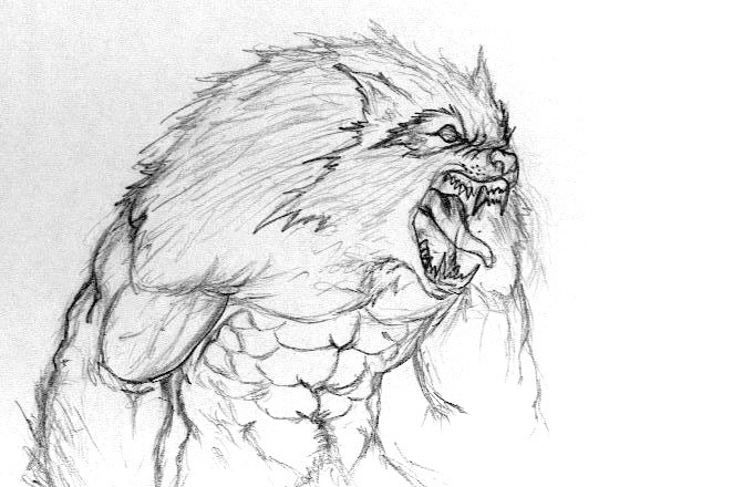 662x440 Artstation - Werewolf Sketch
