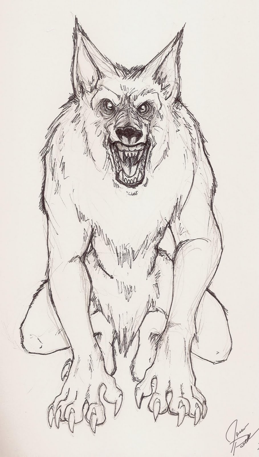909x1600 Werewolf Sketch Jenn Polk Conceptstoryboardsdoodles - Werewolf Sketch