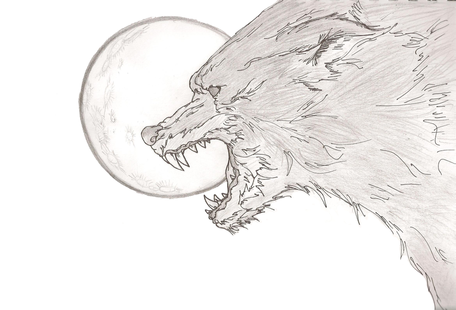 900x611 Werewolf Sketch By Demonking Aka Grim - Werewolf Sketch