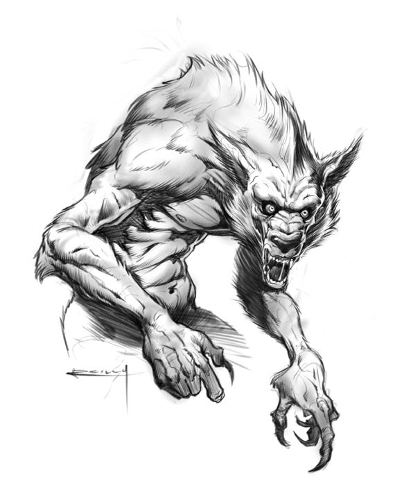 593x720 Werewolf Sketch By Reilly Howling - Werewolf Sketch