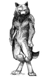 149x250 Werewolf Sketch Weasyl - Werewolf Sketch