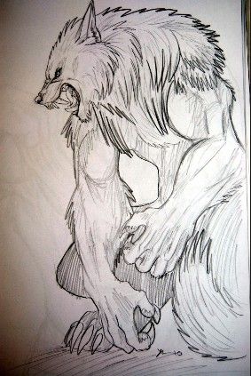 283x423 Sweet Werewolf Drawing. Horror Ideas In 2018 - Werewolf Sketch
