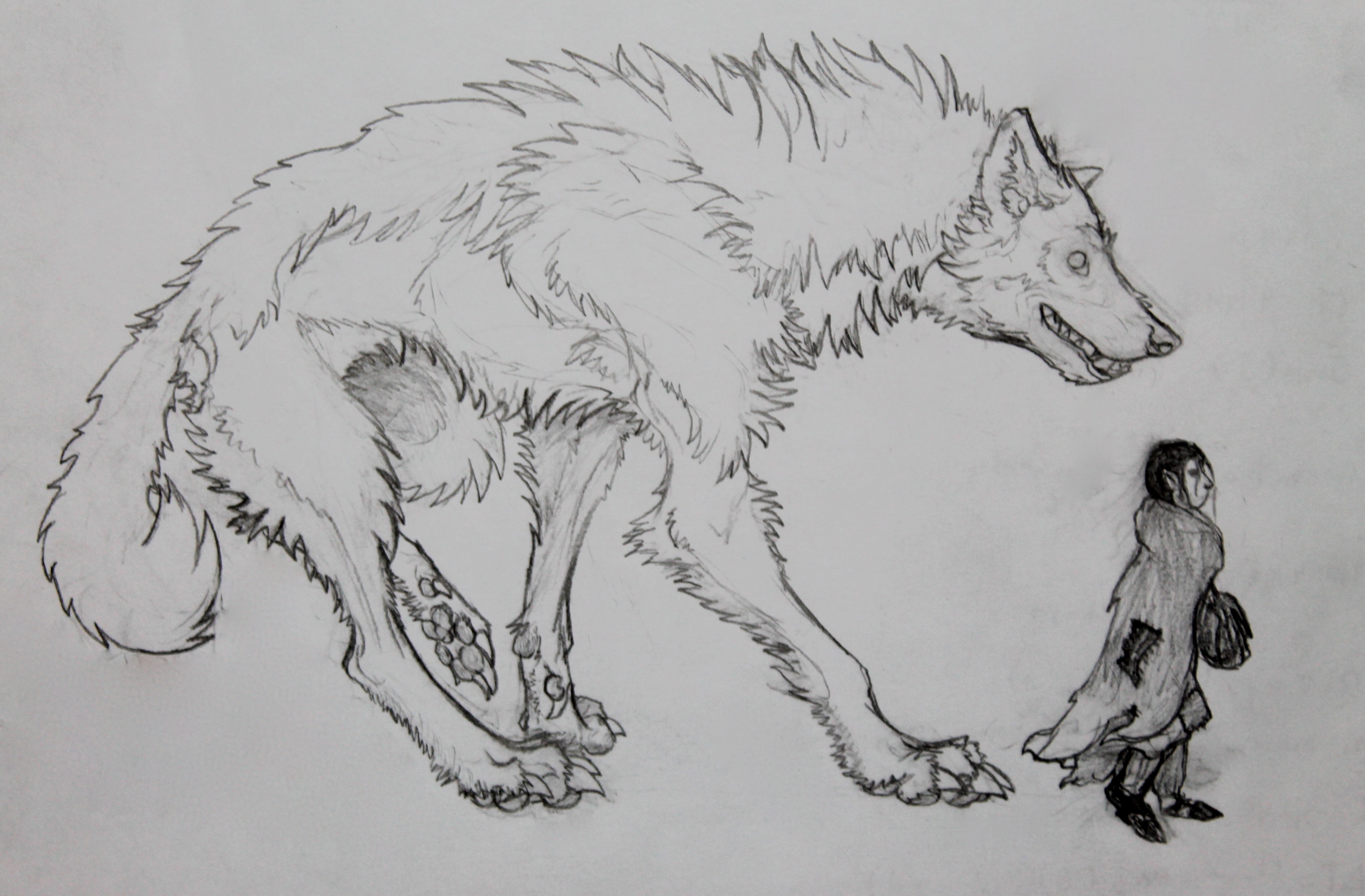 Волк арт карандашом