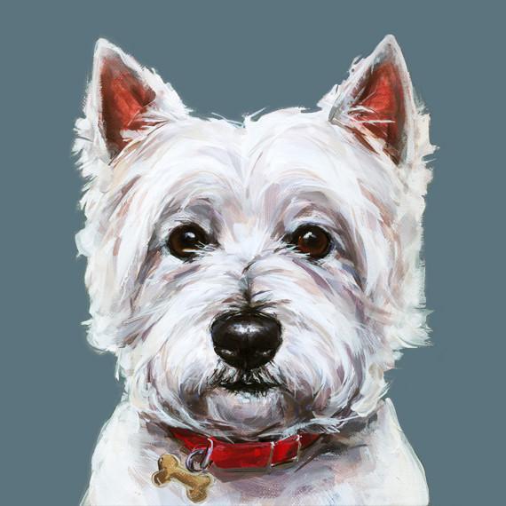 570x570 Paintmydog Dog Art Contemporary Dog Portraits - West Highland Terrier Sketch