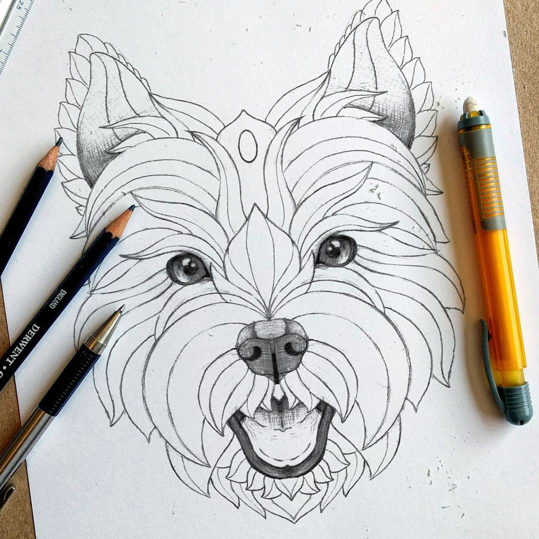 1080x1080 Westie Tattoo Design On Behance - West Highland Terrier Sketch