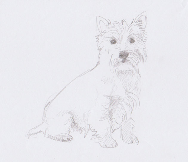 630x543 Dog Sculpture - West Highland Terrier Sketch