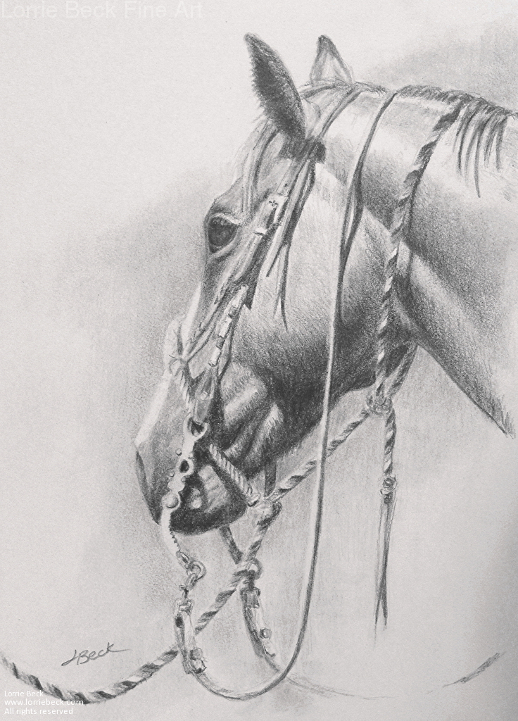 736x1024 Patience An Original Pencil Western Horse Drawing Mobile - Western Horse Sketch