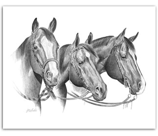 324x279 Ready, Willing, Amp Able Quarter Horse Art Amp Paintings For Sale - Western Horse Sketch