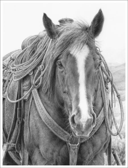 450x588 Well Deserved Rest - Western Horse Sketch