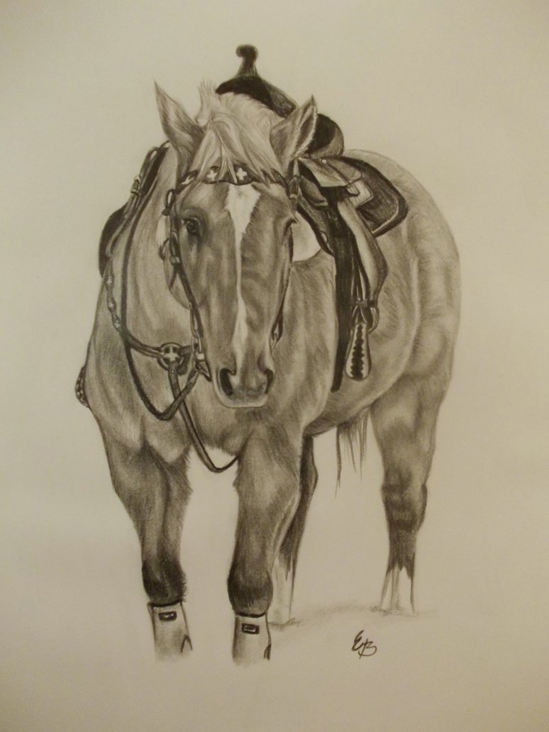 774x1032 Western Horse By Midestini - Western Horse Sketch