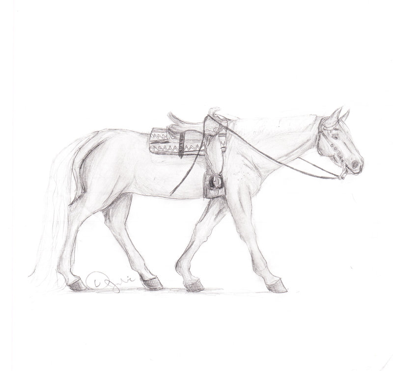 800x756 Western Pleasure Horse By Rimfy - Western Horse Sketch