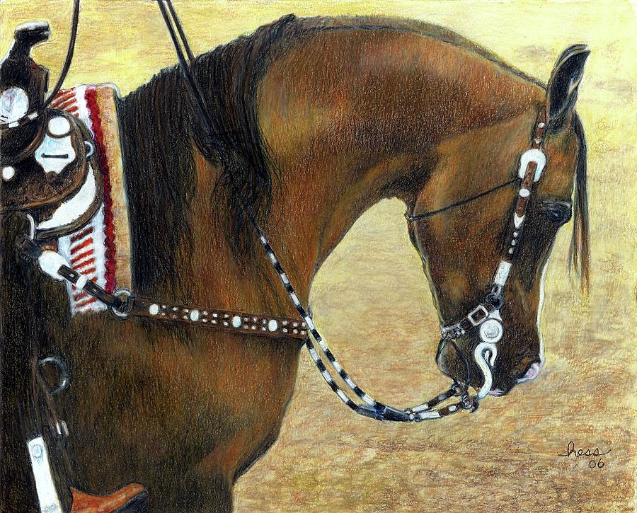 900x725 Arabian Western Pleasure Horse Drawing By Olde Time Mercantile - Western Horse Sketch