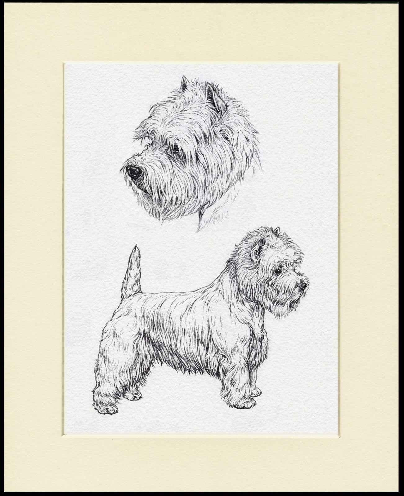 Westie Sketch at PaintingValley.com | Explore collection of Westie Sketch