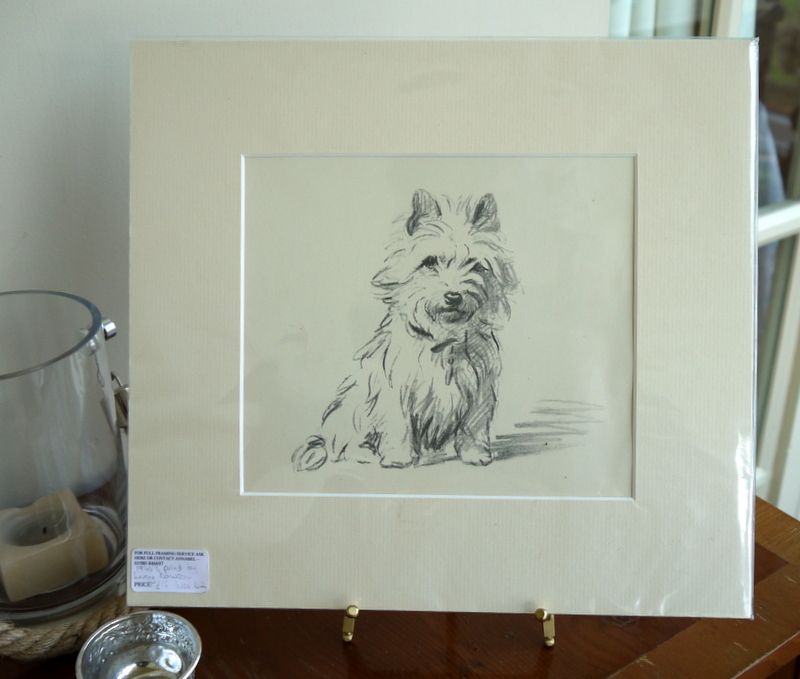 800x679 Westie - Westie Sketch