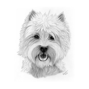 Westie Sketch at PaintingValley.com | Explore collection of Westie Sketch