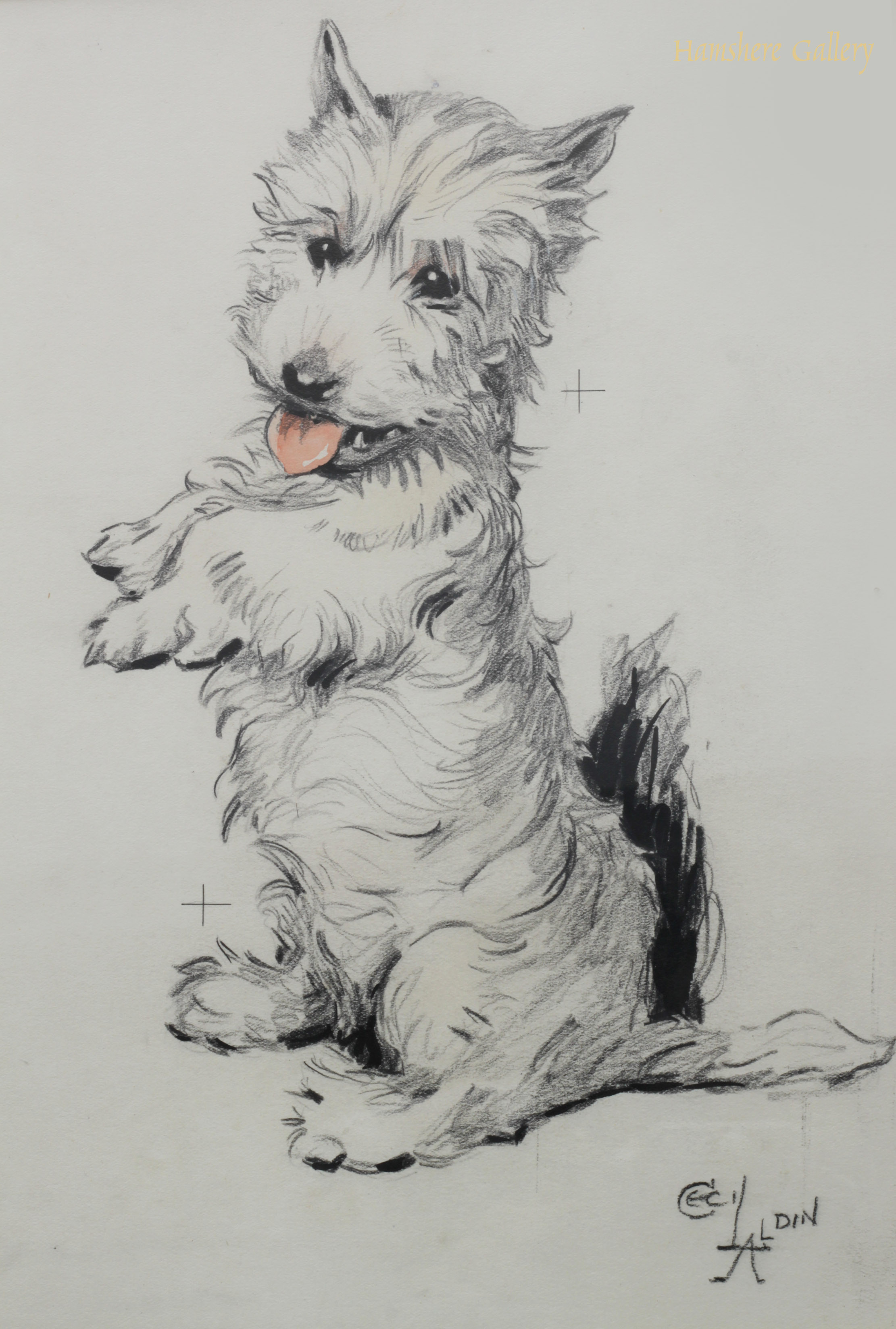2222x3295 Category Individual - Westie Sketch