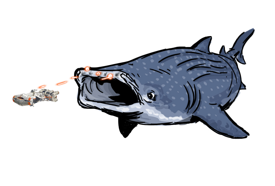 1110x752 Shark Week Sketch Jam Whale Shark - Whale Shark Sketch