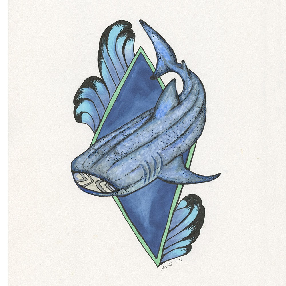 1000x1000 Whale Shark Art Print - Whale Shark Sketch