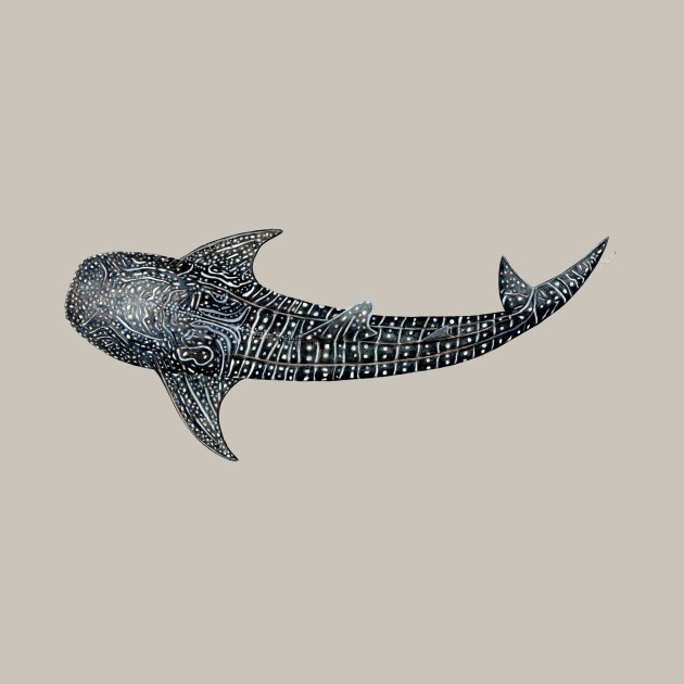 Whale Shark Sketch at PaintingValley.com | Explore collection of Whale ...