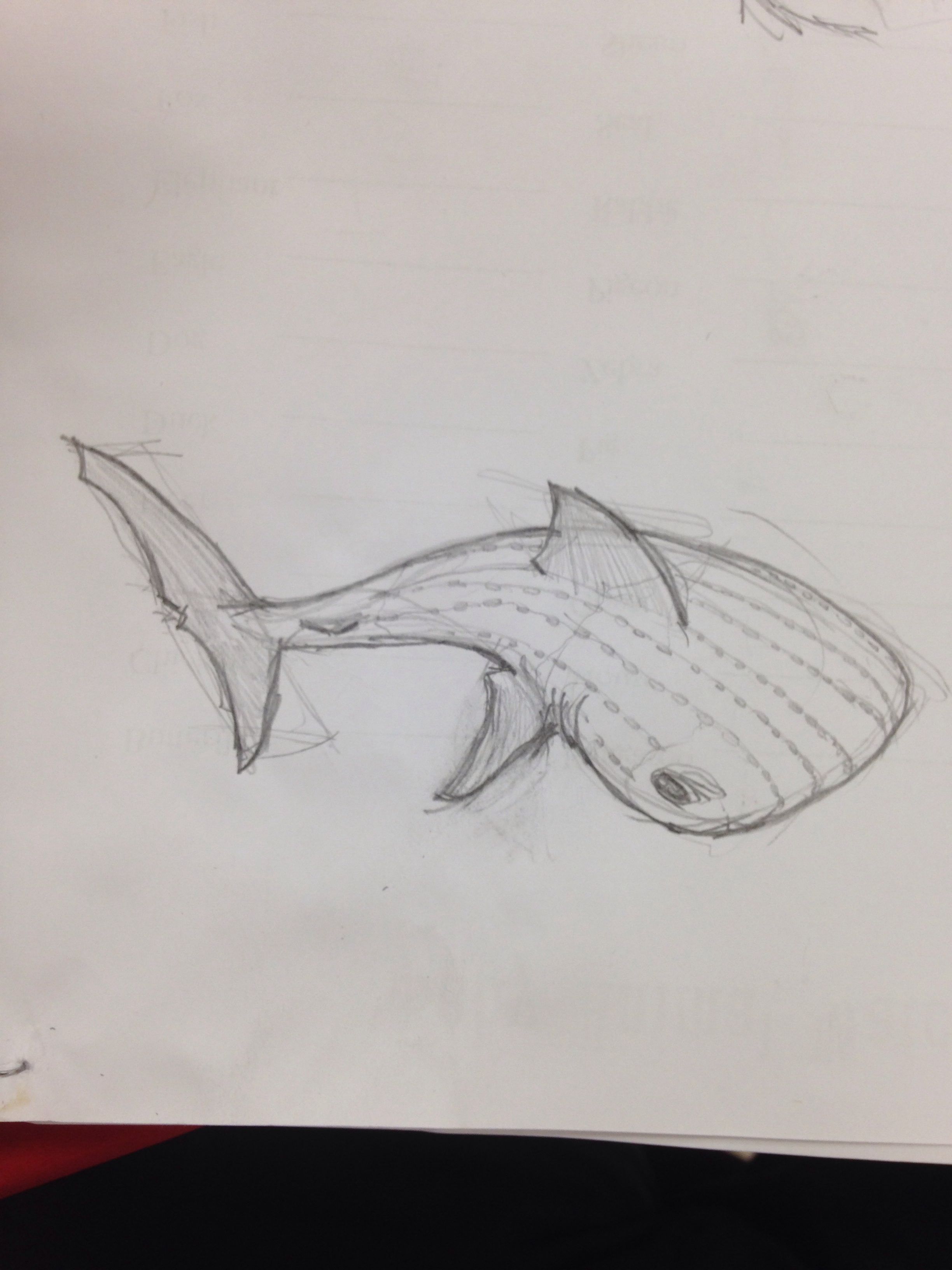 2448x3264 Whale Shark Sketch My Art Whale Sharks, Shark And - Whale Shark Sketch