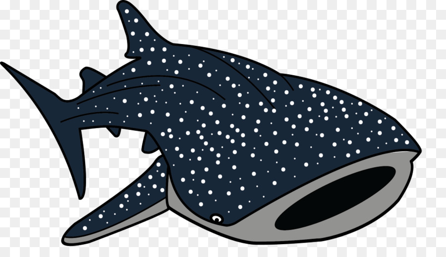 900x520 Clipart Shark Whale Shark - Whale Shark Sketch