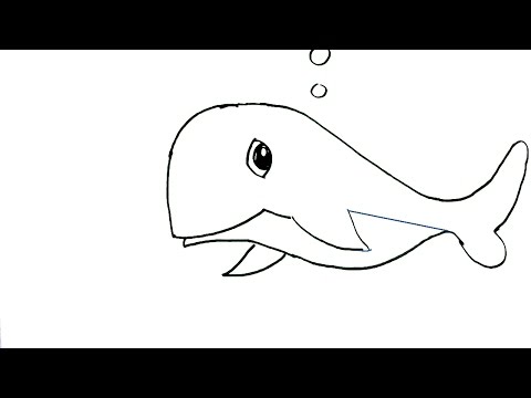 480x360 How To Draw A Blue Whale In Easy Steps For Children. Beginners - Whale Sketch