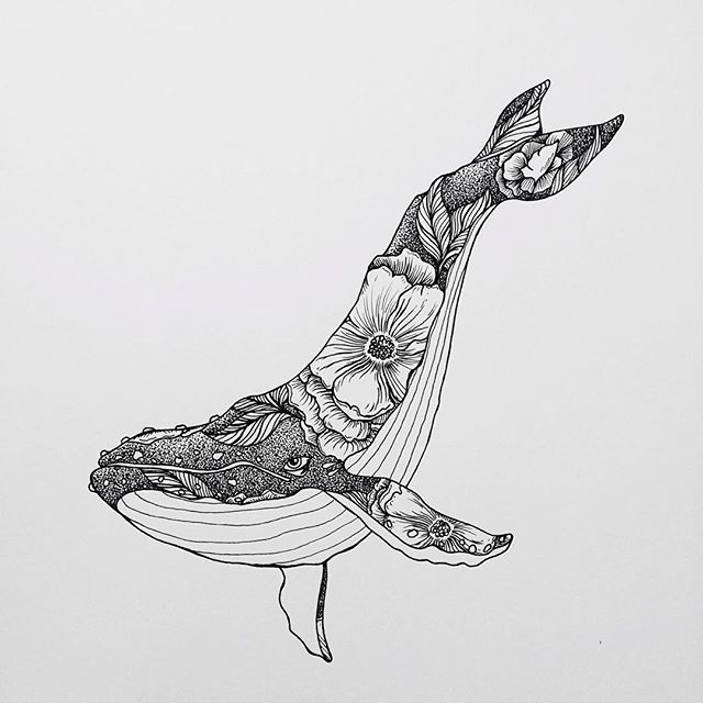 640x640 Caitliinnlee More Tatuagens Stippling - Whale Sketch