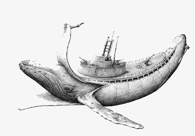 650x454 Sketch Illustration Whale, Whale Clipart, Sketches, Illustration - Whale Sketch